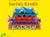 Dam örtükləri